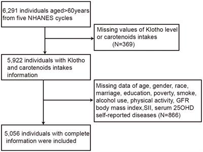 Aging and antioxidants: the impact of dietary carotenoid intakes on soluble klotho levels in aged adults